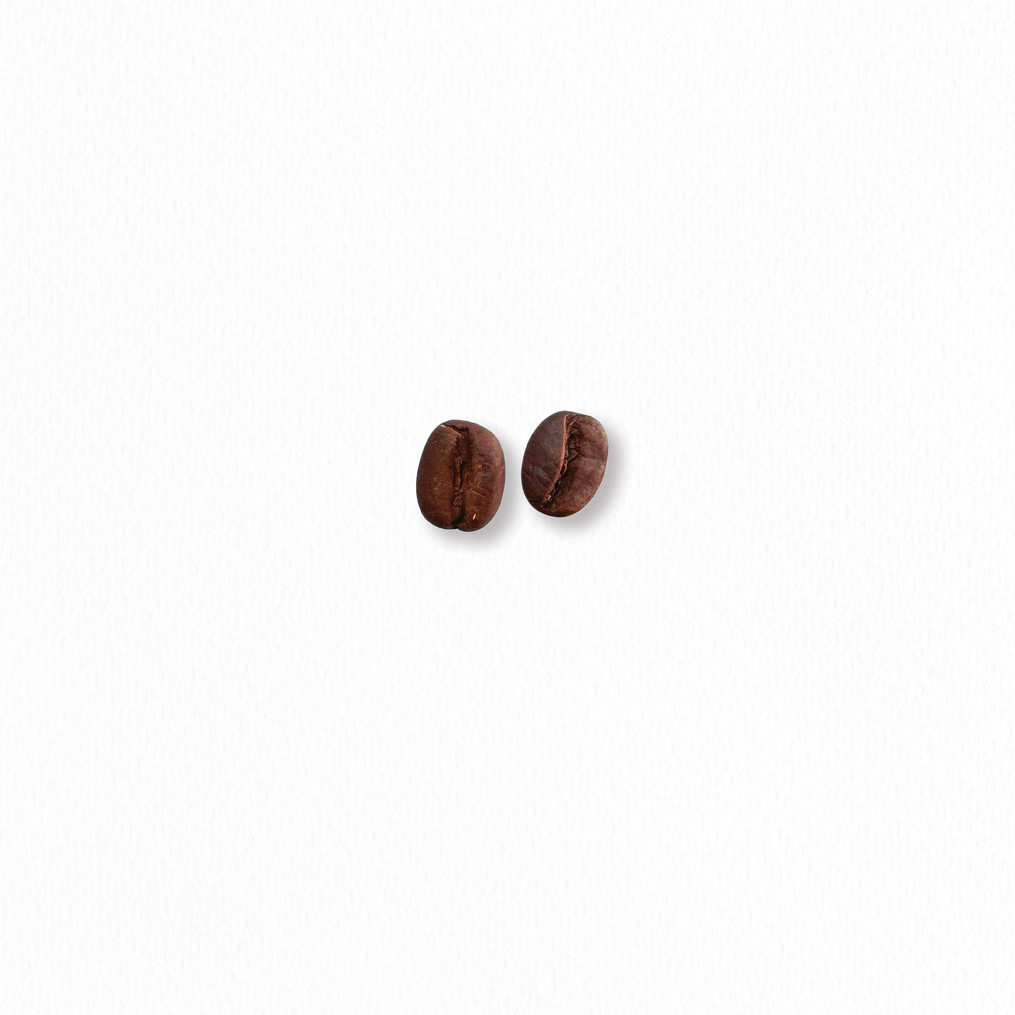 Coffee Bean Stud Earrings